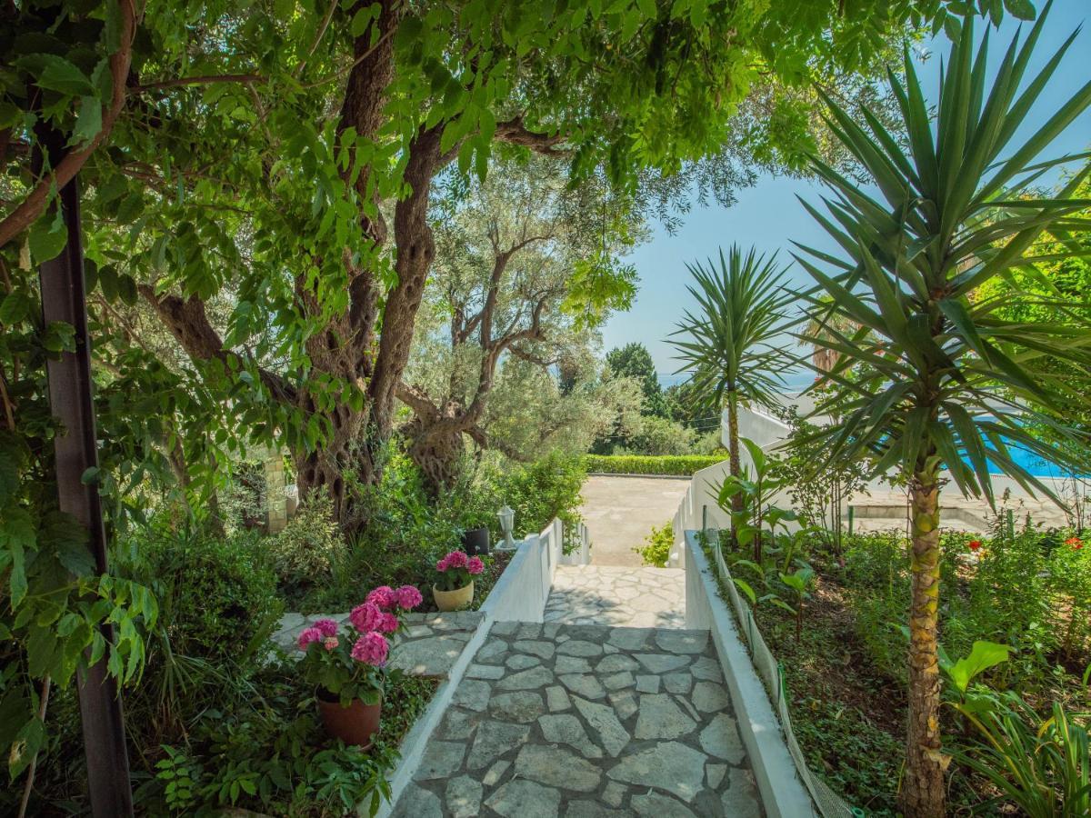 Villa The Turtles Garden Bečići Exterior foto
